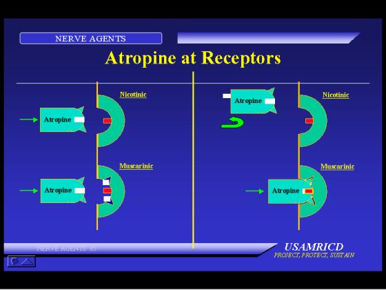 view Bankruptcy and